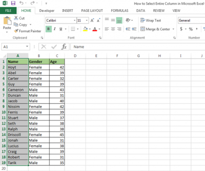 Copy Selection to a Database sheet using VBA in Microsoft Excel