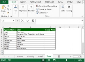 excel summarize data by cell