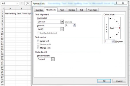 How to do the Preventing Text from Spilling Over in Excel