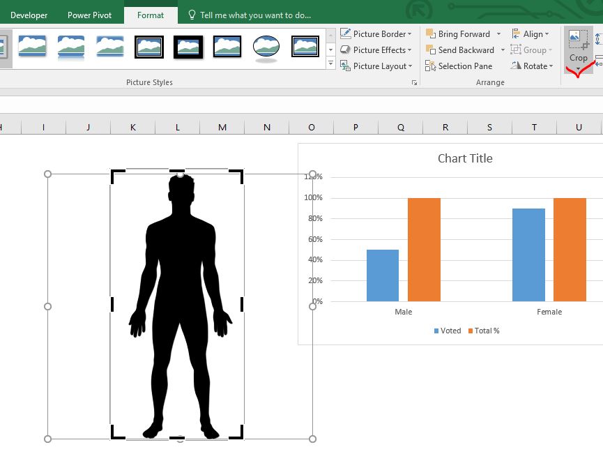 10 Steps To Create Male Female Infographic Chart In Excel